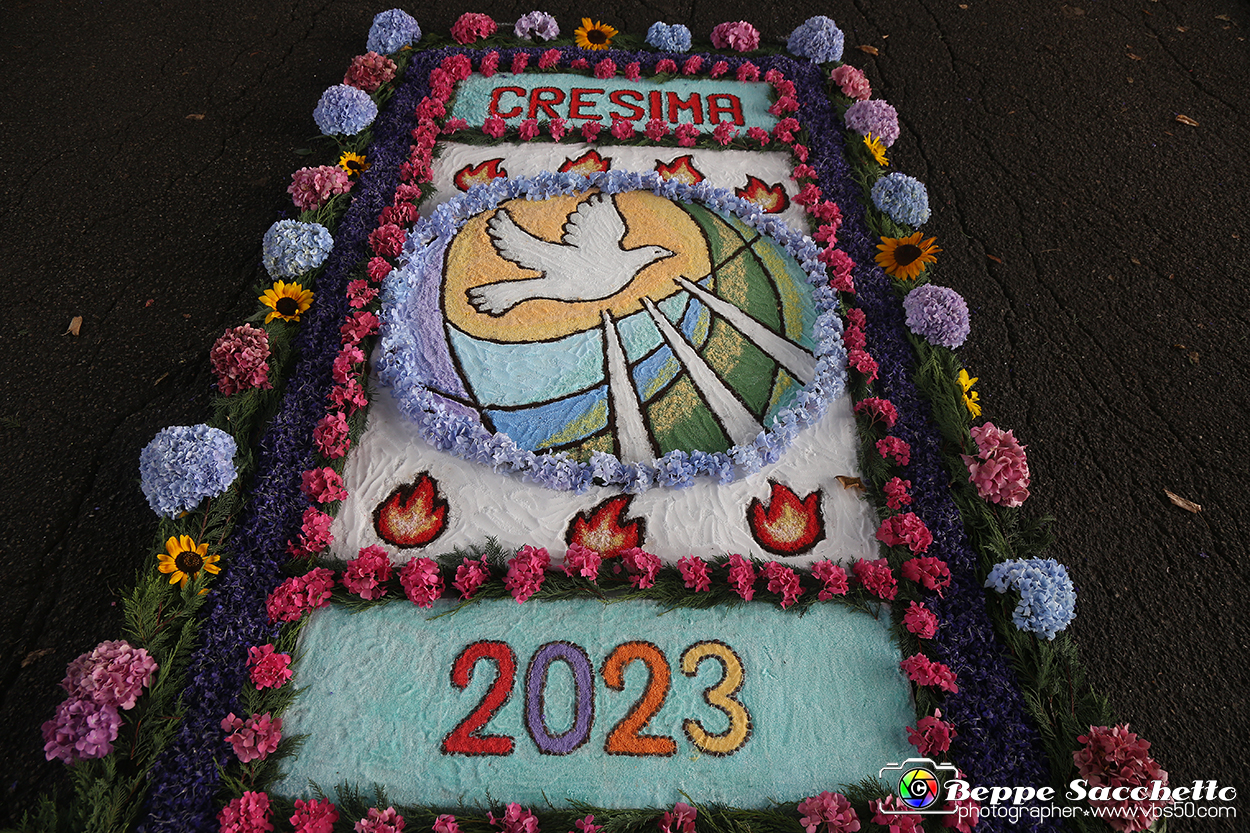VBS_9734 - Infiorata di Villanova d'Asti 2023.jpg